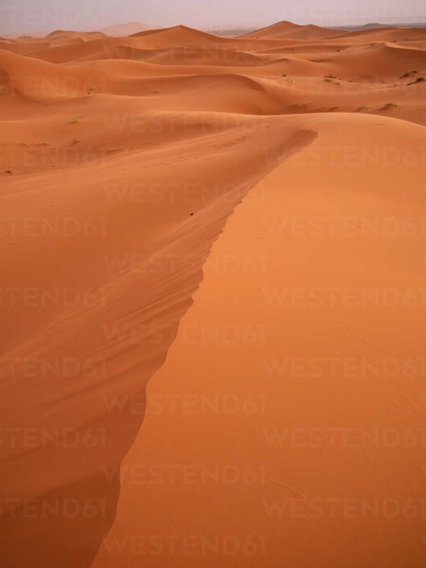 North Africa Morocco Merzouga Sand Dunes Of Erg Chebbi Bscf000074 Bernados Westend61