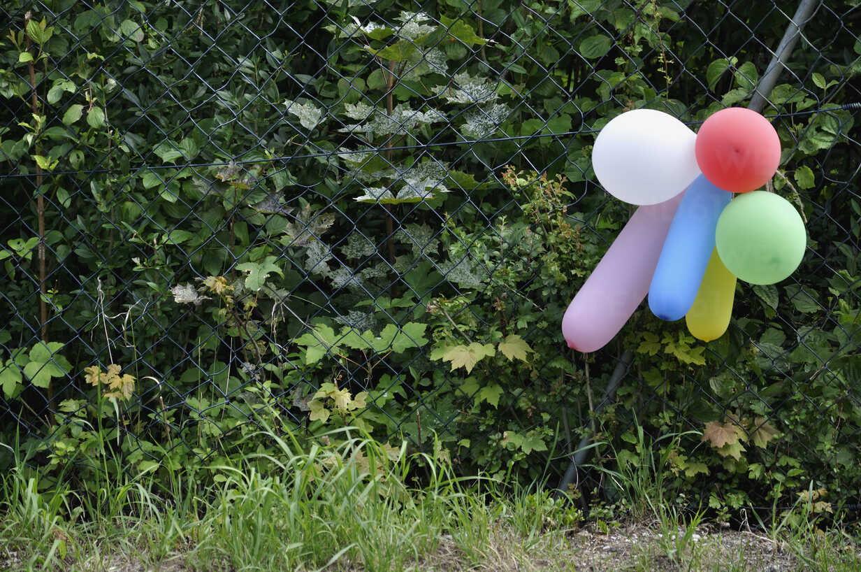 Germany Bavaria Colourful Balloons Hanging On Wire Fence Stockphoto