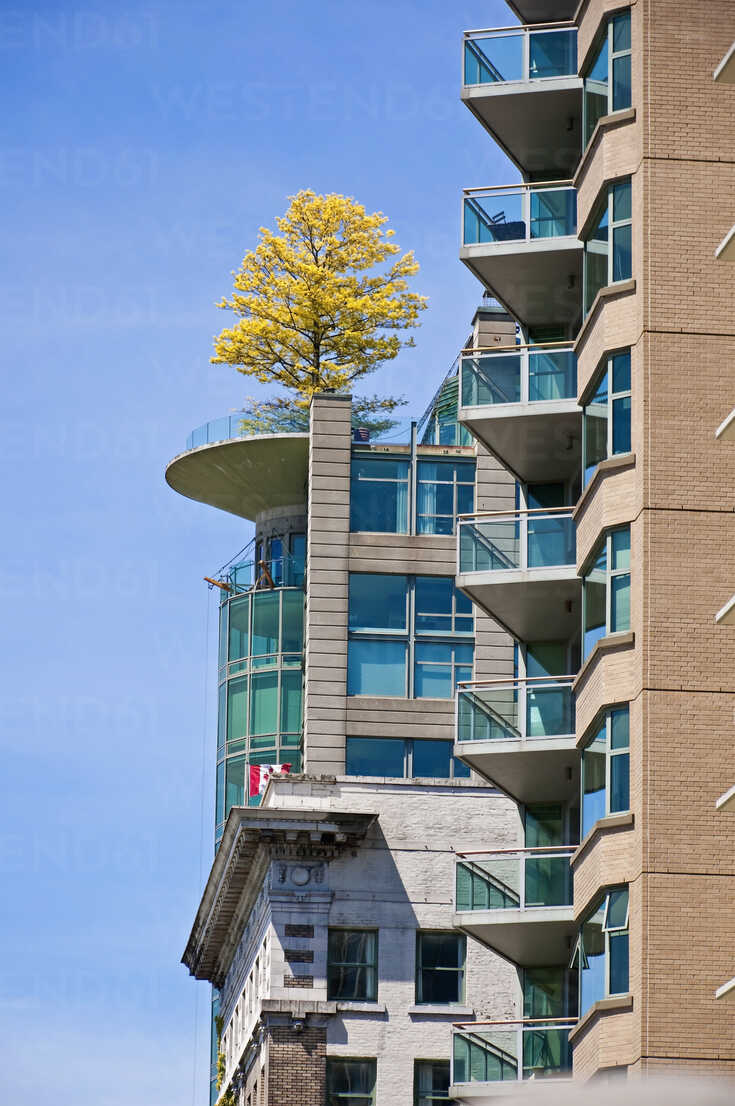 Canada British Columbia Vancouver High Rise Residential Building With Tree On Roof Terrace Um Ulrich Hagemann