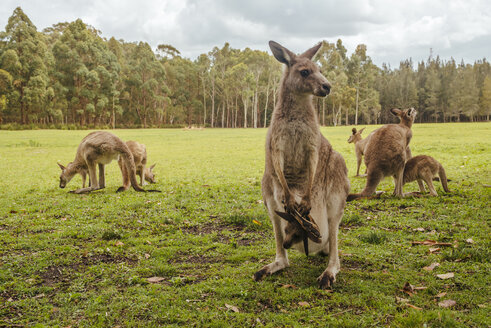 New South Wales Lizenzfreie Bilder Bildagentur Westend61