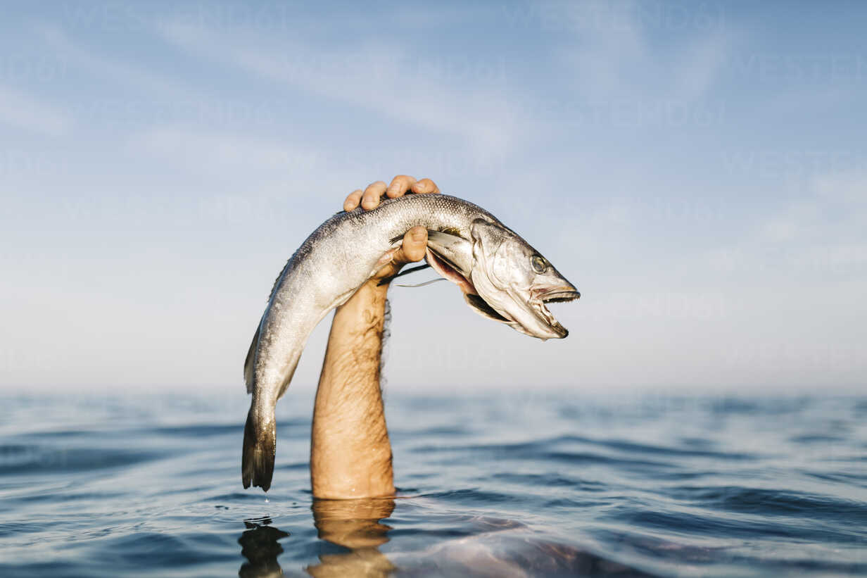 Man S Hand Holding Caught Fish Out Of The Water Jrff Josep Rovirosa Westend61