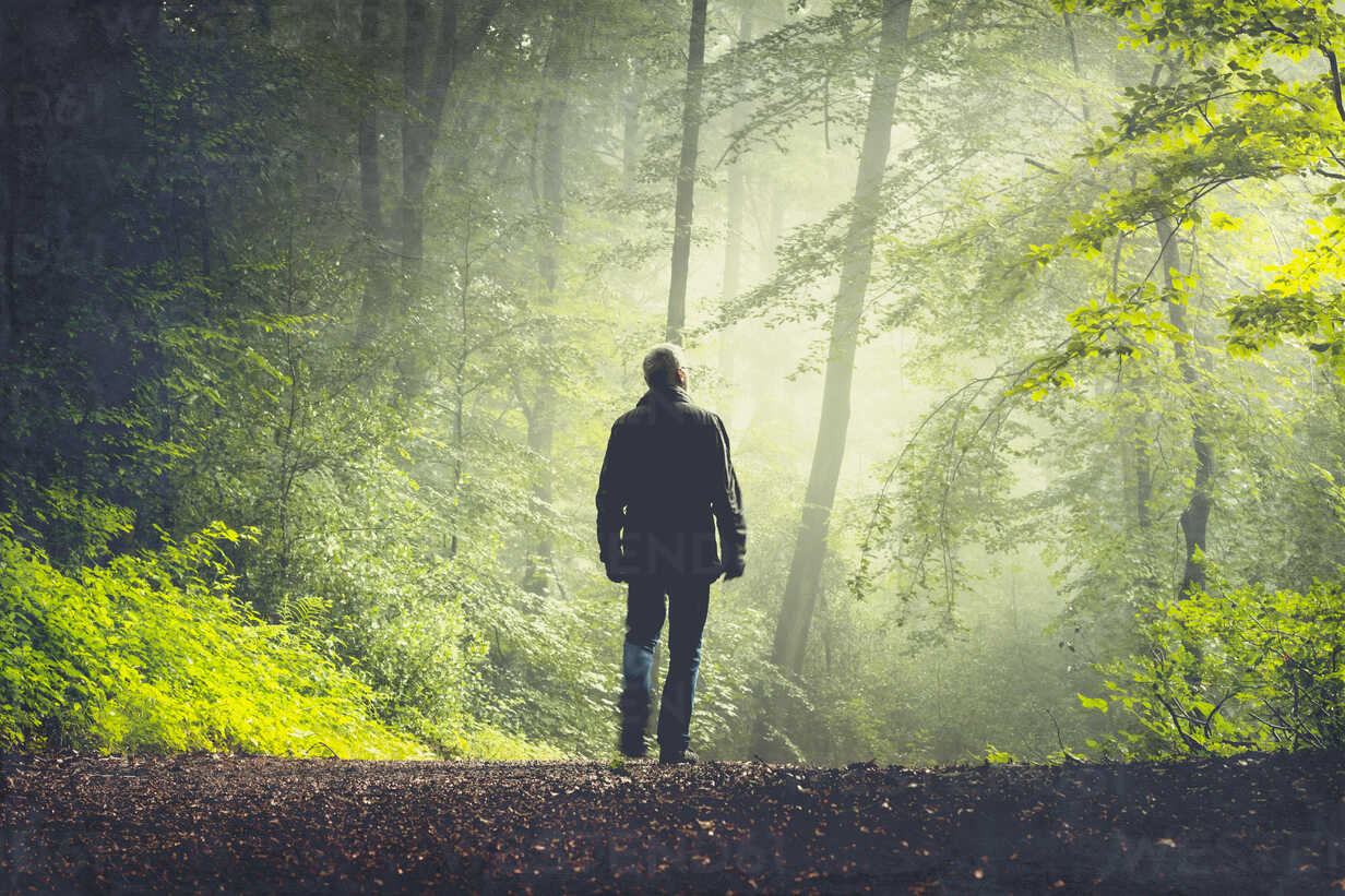 Man Walking On Forest Track In Morning Light Dwif Dirk Wustenhagen Westend61