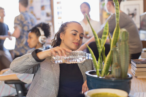 Businesswoman Watering Cactus Plant With Bottle Water In Office Caif21795 Tom Merton Westend61