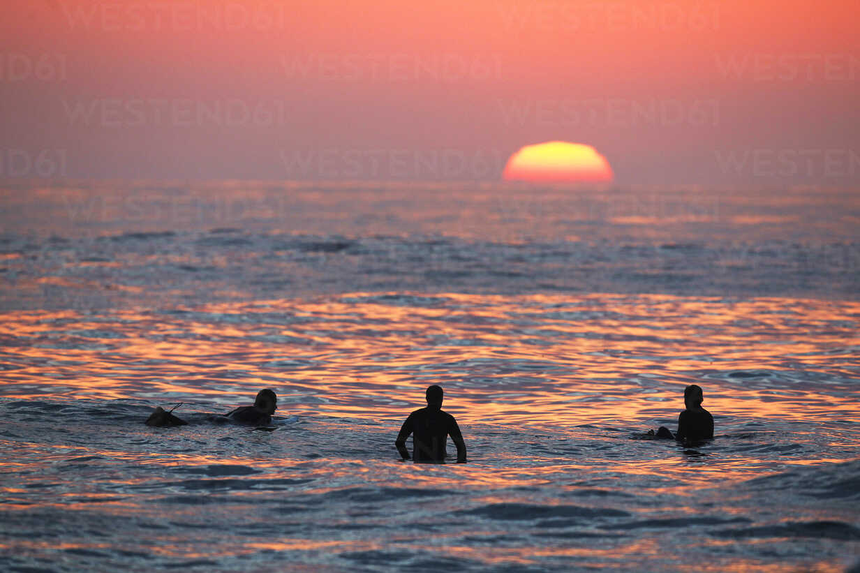 Three Men Swimming In Sea At Sunset Windansea Beach La Jolla San Diego California Usa Aurf