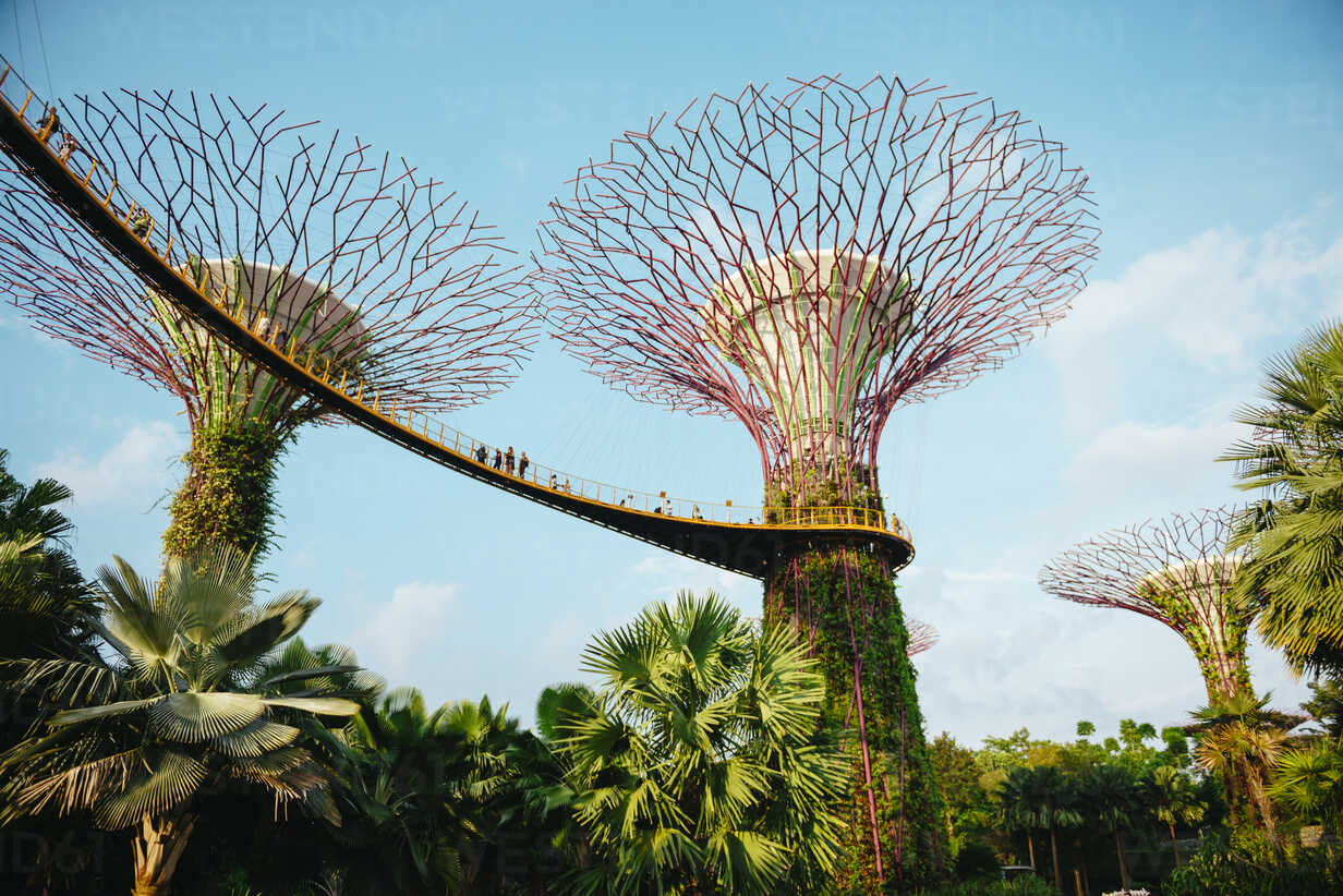 Singapore Gardens By The Bay Supertree Grove With Platforms At A Sunny Day Gem Gemma Ferrando