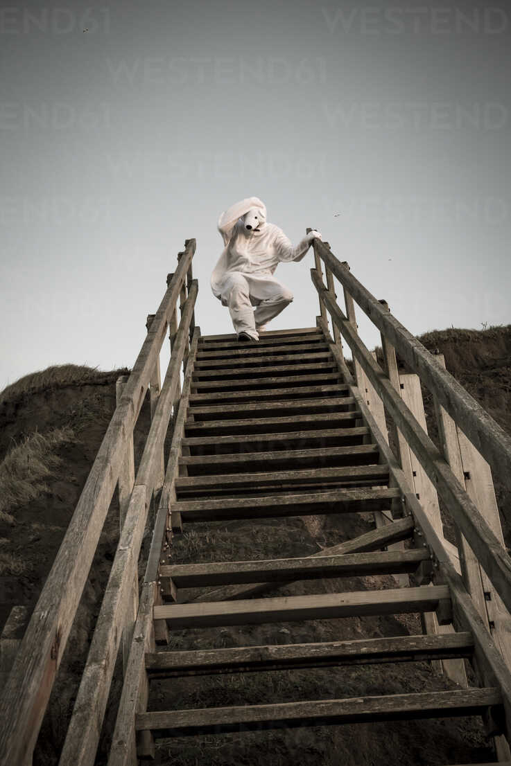 Man Wearing Ice Bear Costume On Steps Despair Reaf Realitybites Westend61