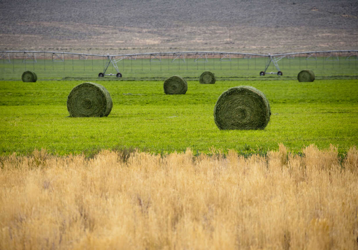 Hay Bales In Field Stockphoto