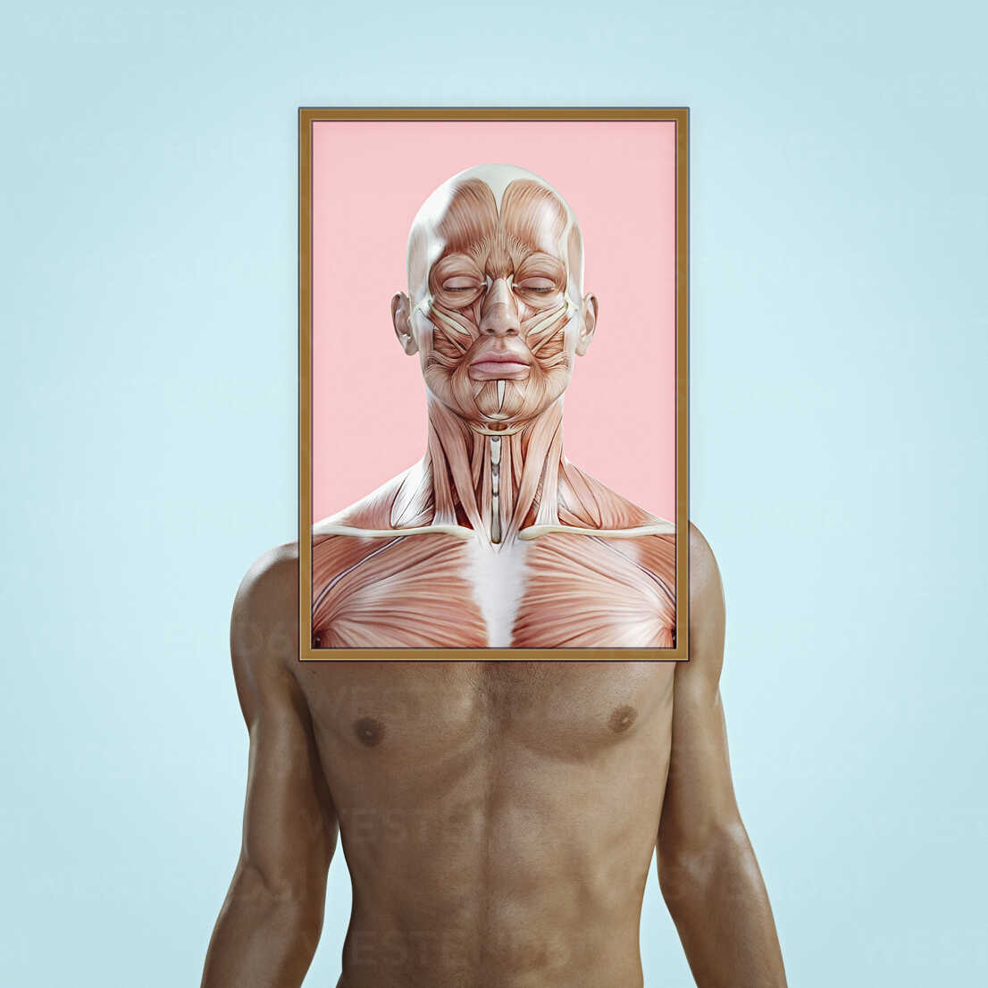 Face And Chest Muscles Of Man Stockphoto