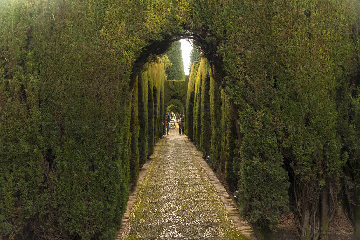 Generalife Gardens In Alhambra Granada Spain Tam01897 A