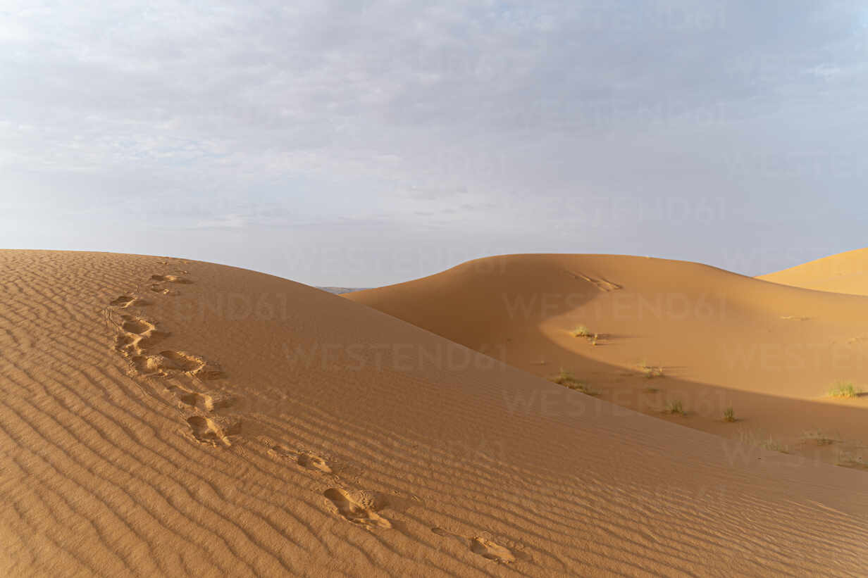 Footprints In Sand Dunes In Sahara Desert Merzouga Morocco Stockphoto
