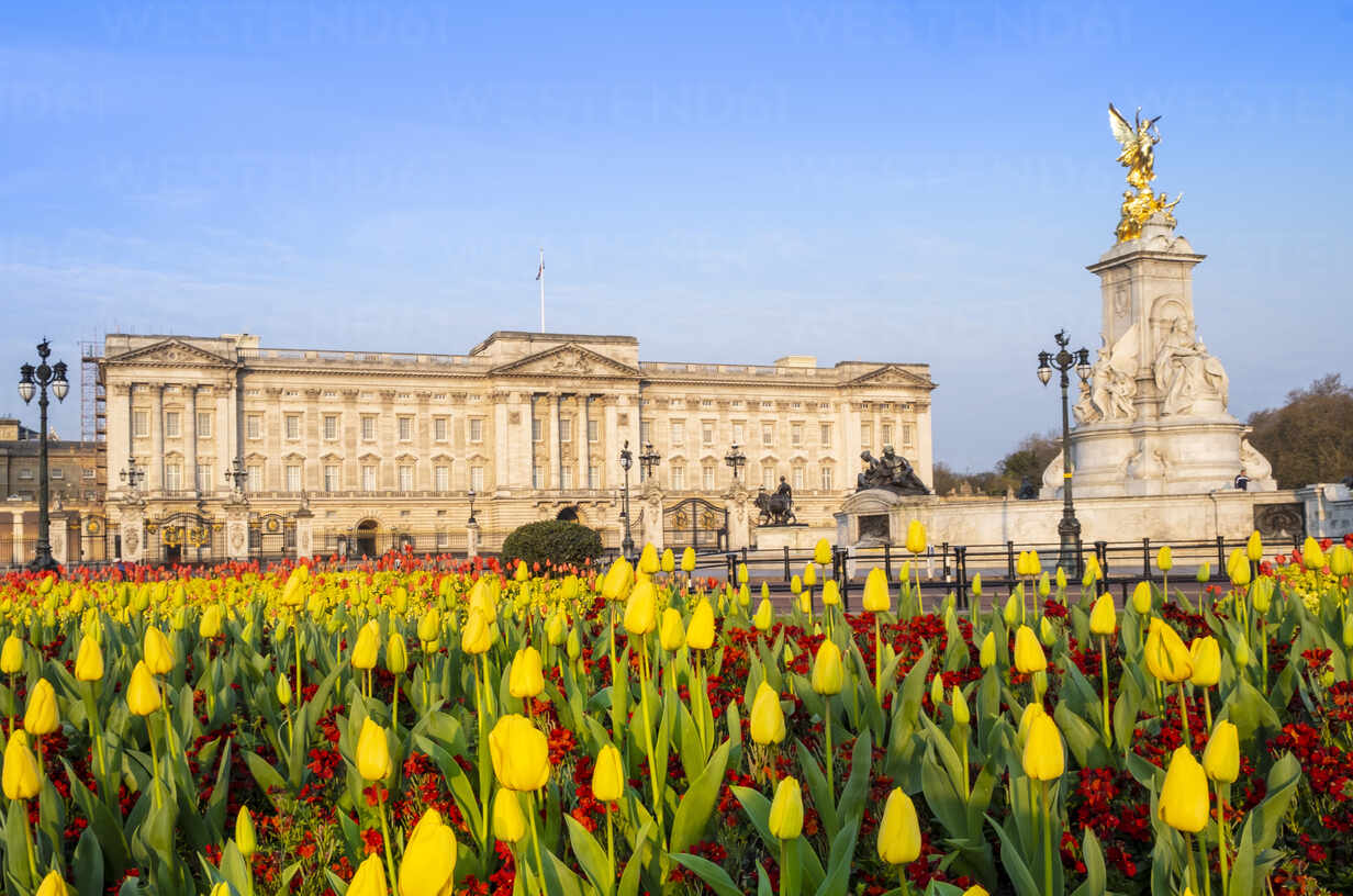 The Facade Of Buckingham Palace The Official Residence Of The Queen In London Showing Spring Flowers
