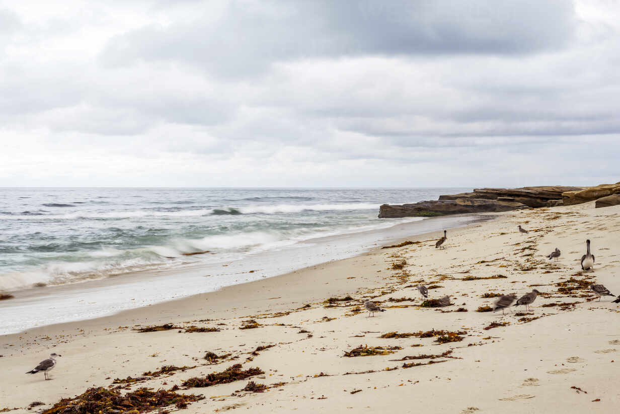 Winter Morning At Windansea Beach La Jolla Ca Usa Cavf Cavan Images Westend61