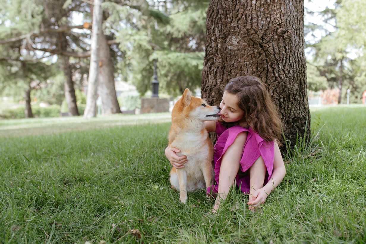 Little Girl In Summer Dress Embracing And Kissing Cute Shiba Inu Dog While Sitting Together On