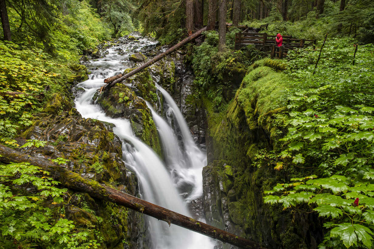 Photographer On The Sol Duc Falls Trail Sol Duc Valley Olympic National Park Unesco World Heritage